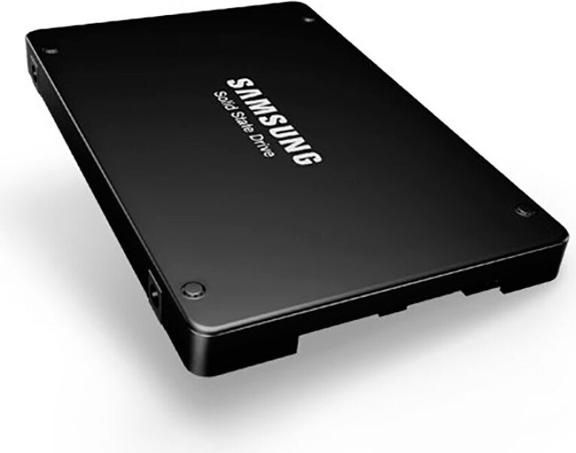 PM1643a Intern SSD 1,9TB (SAS) 2,5tm