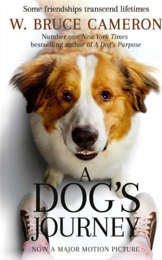A Dog's Journey av W. Bruce Cameron