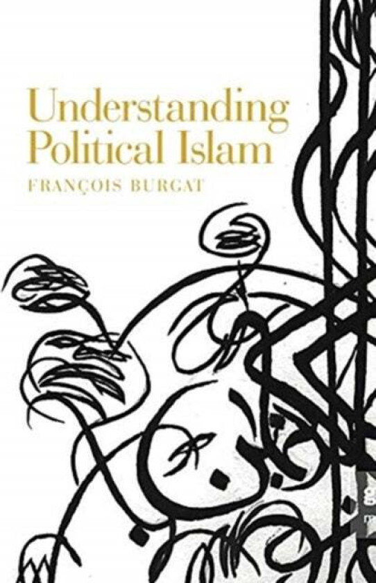 Understanding Political Islam av Francois Burgat