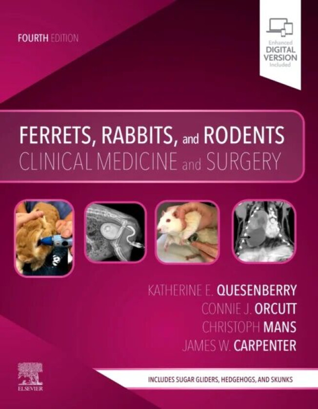 Ferrets, Rabbits, and Rodents av Katherine Quesenberry, Christoph Mans, C Orcutt