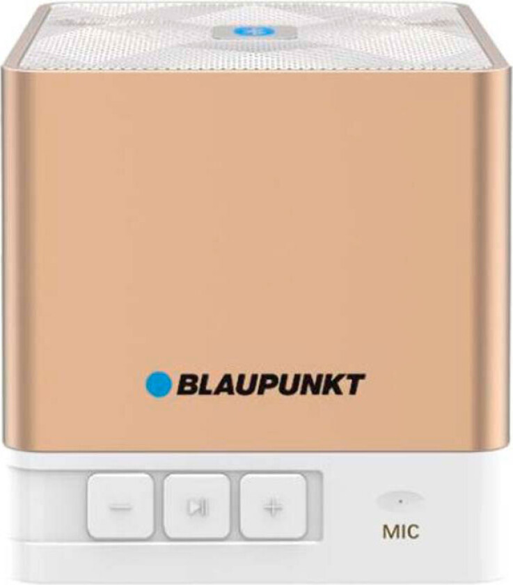 BT02GOLD Bluetooth Høyttaler (SD/USB/AUX)