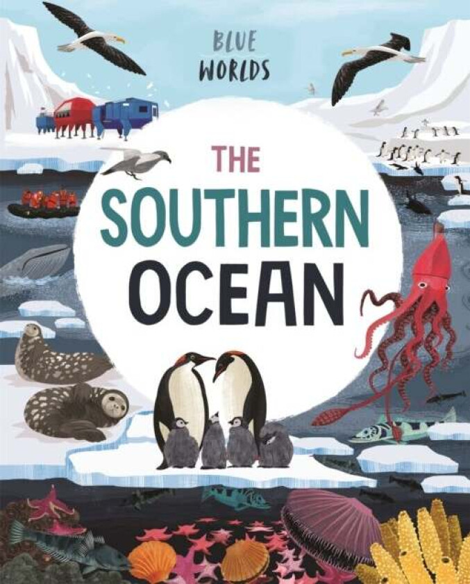 Blue Worlds: The Southern Ocean av Anita Ganeri