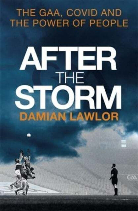 After the Storm av Damian Lawlor