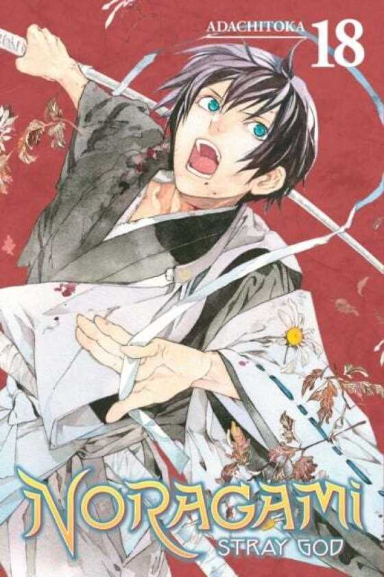 Noragami: Stray God 18 av Adachitoka