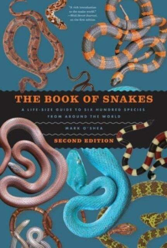 The Book Of Snakes Av Mark O'Shea
