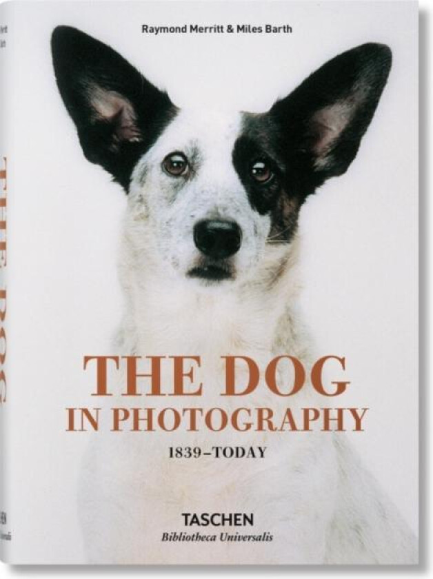 The Dog in Photography 1839-Today av Raymond Merritt