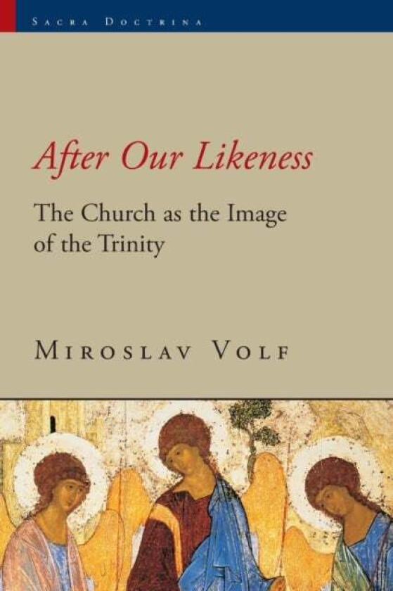 After Our Likeness Av Mr. Miroslav Volf