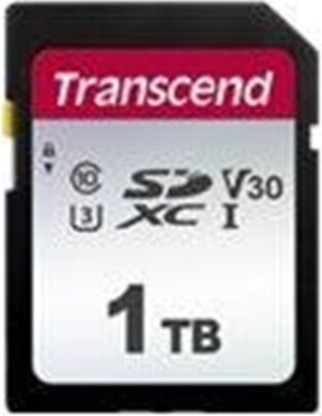 300S - 1TB