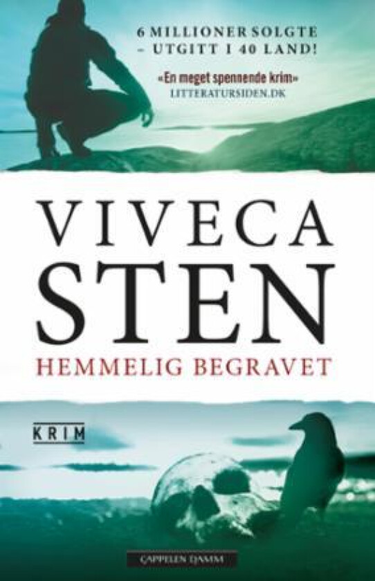 Hemmelig begravet av Viveca Sten