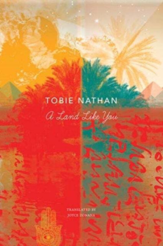 A Land Like You Av Tobie Nathan