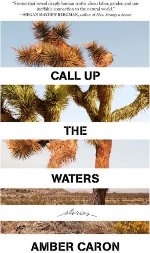 Lost Person Behavior av Amber Caron