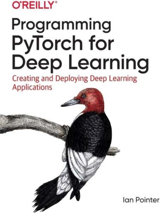 Programming PyTorch for Deep Learning av Ian Pointer