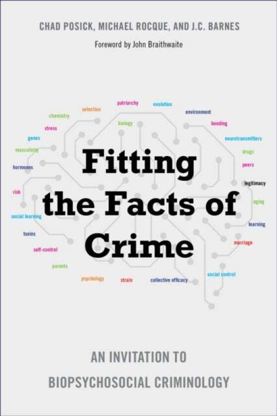 Fitting the Facts of Crime av Chad Posick, Michael Rocque, J.C. Barnes