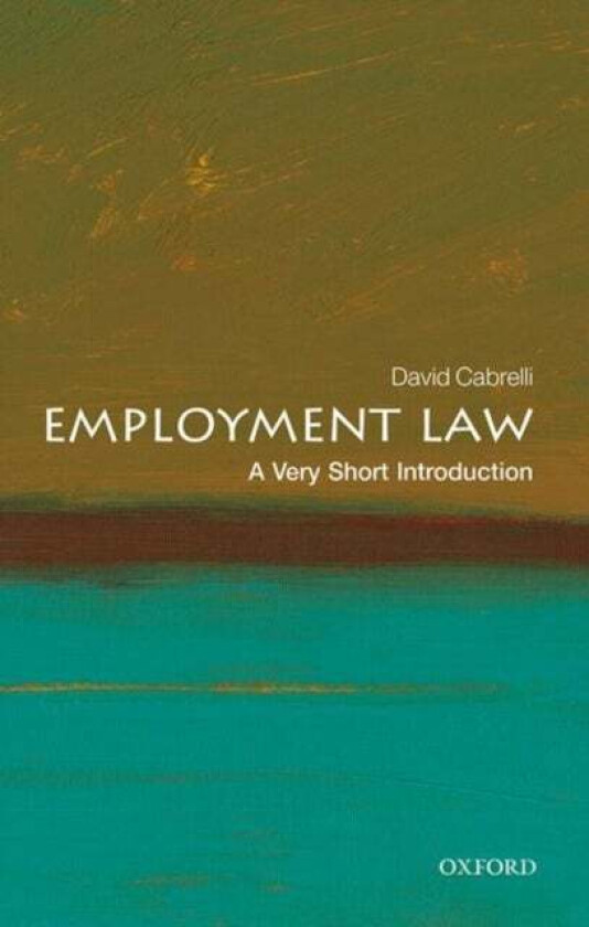 Employment Law: A Very Short Introduction av David (Professor of Labour Law Universi Cabrelli