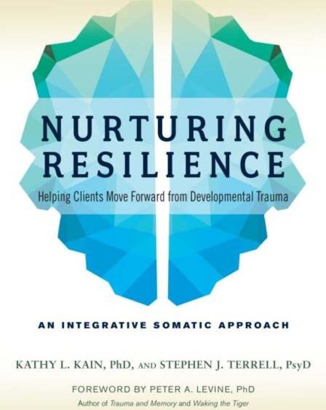 Nurturing Resilience av Kathy L. Kain, Stephen J. Terrell