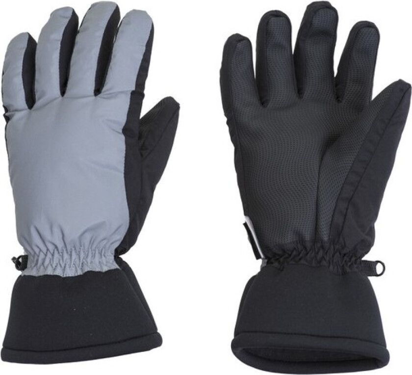 Lenny Gloves, Reflective Silver, 11,  Skihansker