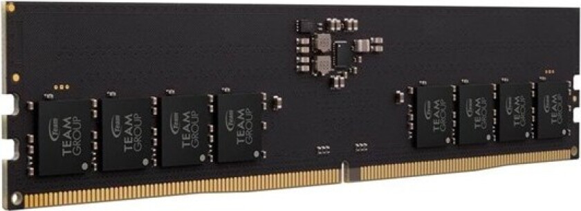Team Elite - DDR5 - modul - 16 GB - DIMM 288-pin - 5600 MHz / PC5-44800 - CL46 - 1.1 V - ikke-bufret - on-die ECC - svart