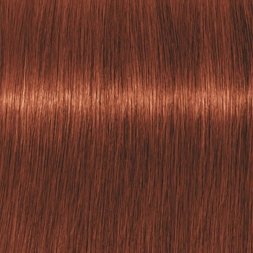 Professional Igora Vibrance Kit 6-78 Dark Blonde Copper Red