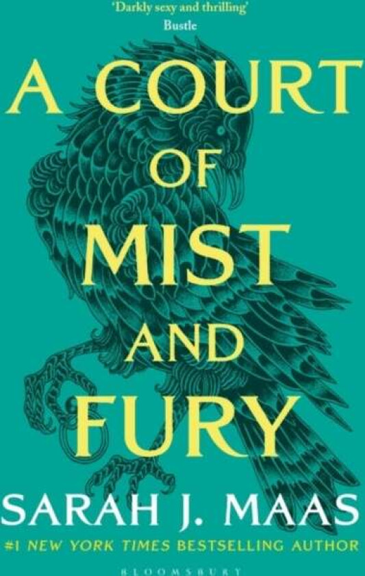 A court of mist and fury av Sarah J. Maas