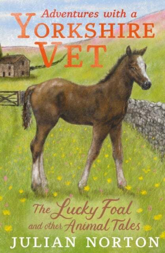 Adventures with a Yorkshire Vet: The Lucky Foal and Other Animal Tales av Julian Norton
