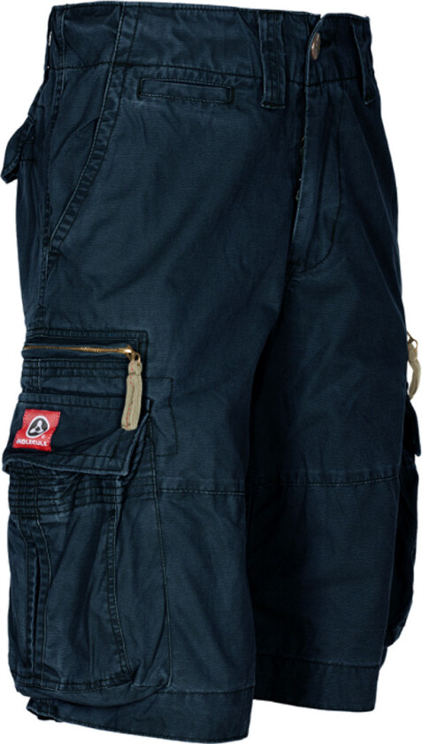 Molecule Cruisers Shorts Navy