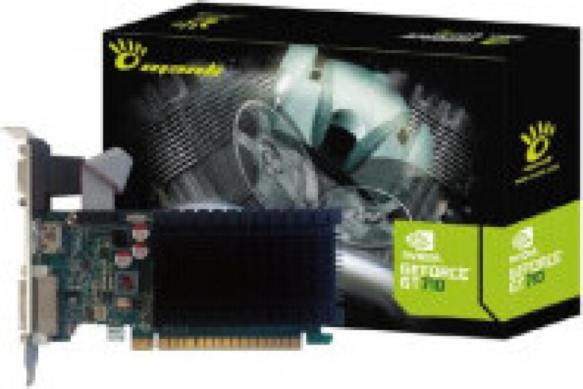 GeForce GT 710 - 2GB GDDR3 RAM - Grafikkort