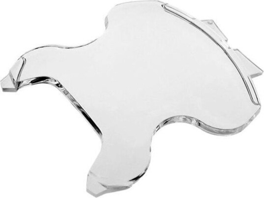 - screen protector for dive computer