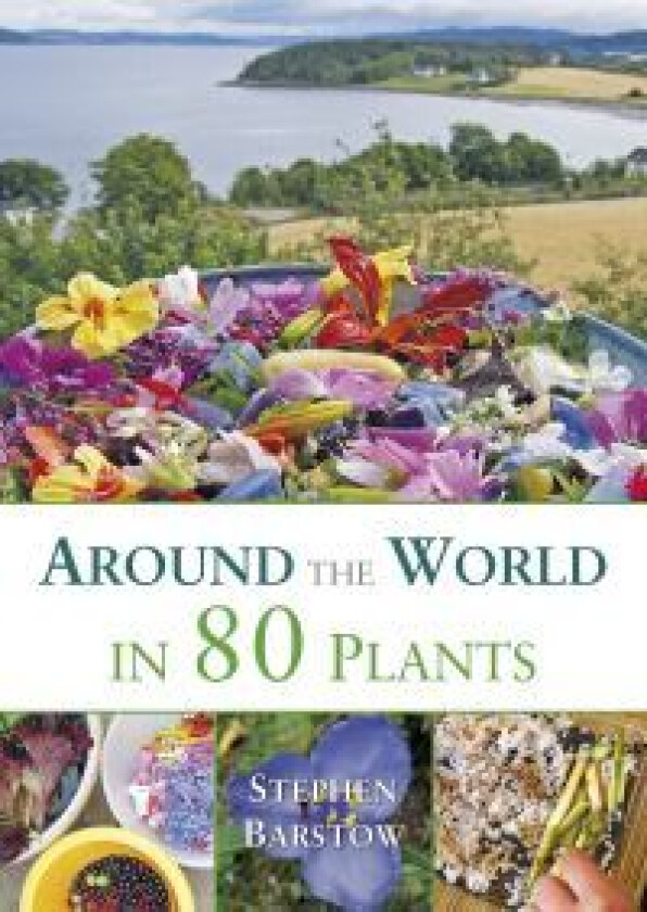 Around the world in 80 plants av Stephen Barstow