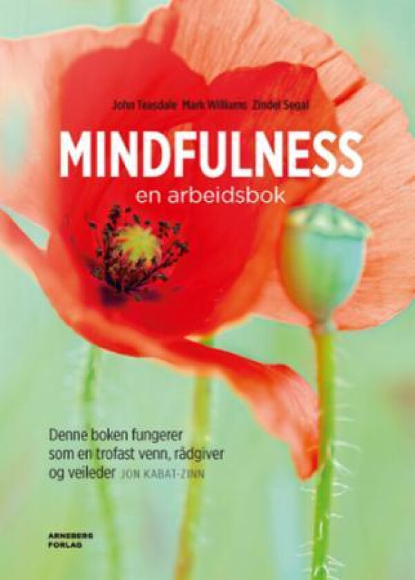 Mindfulness av Zindel Segal, John Teasdale, Mark Williams