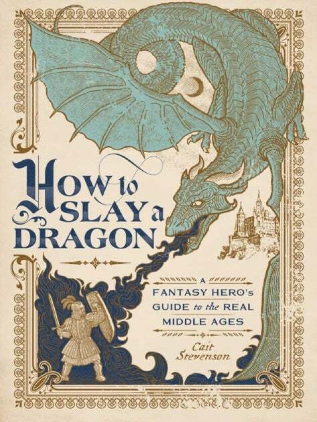 How to Slay a Dragon av Cait Stevenson