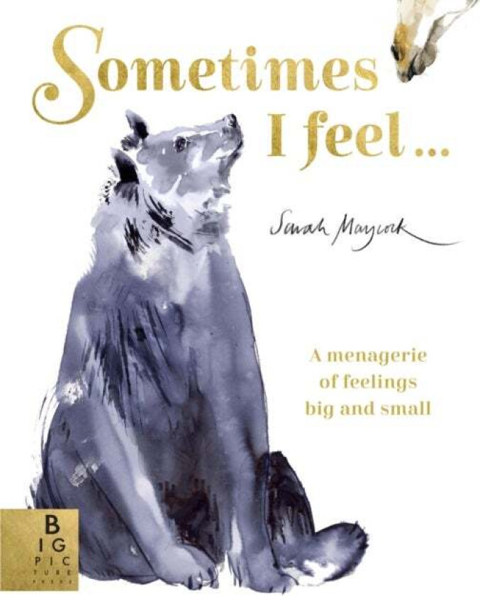 Sometimes I Feel... av Sarah Maycock