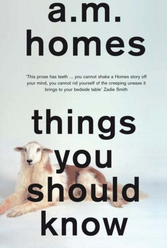 Things You Should Know av A.M. (Y) Homes