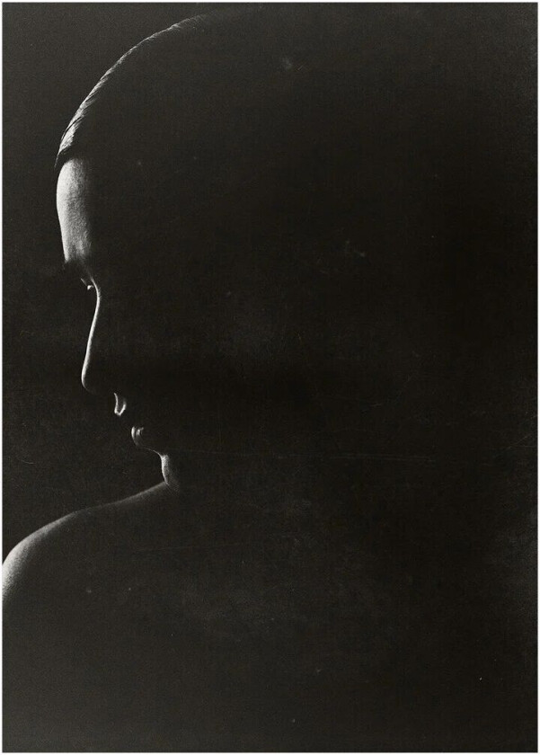 The Silhouette poster 50x70 cm