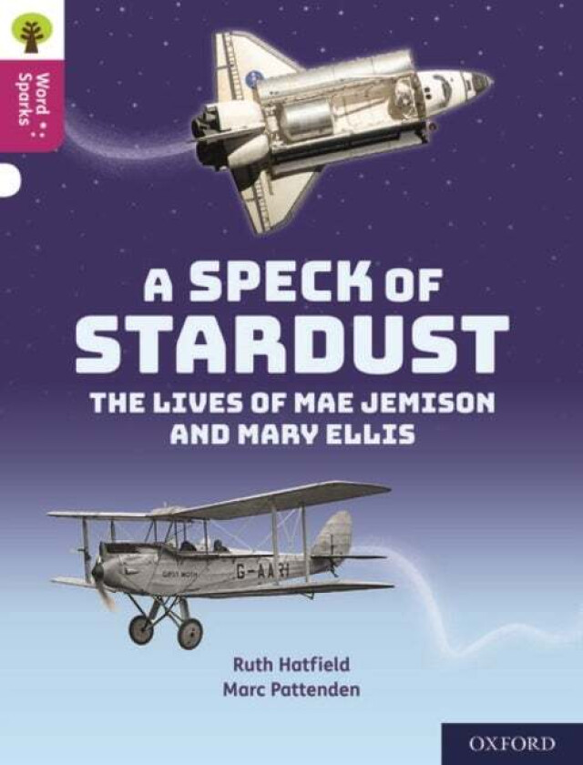 Oxford Reading Tree Word Sparks: Level 10: A Speck of Stardust av Ruth Hatfield