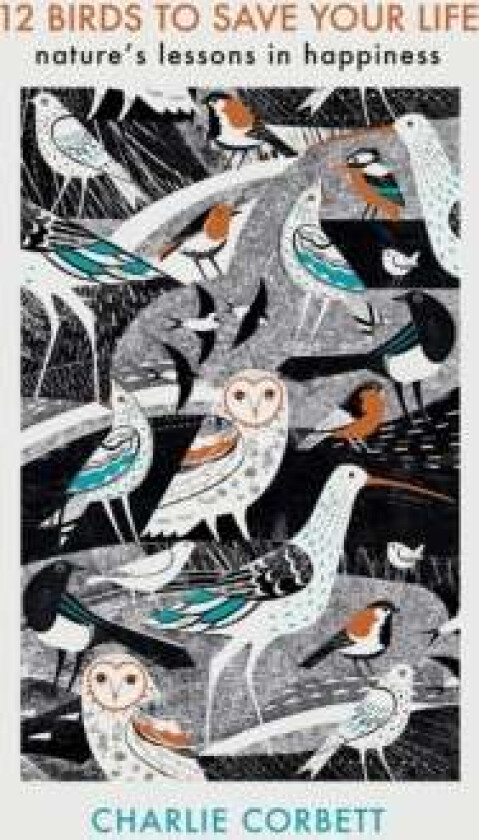 12 Birds to Save Your Life av Charlie Corbett