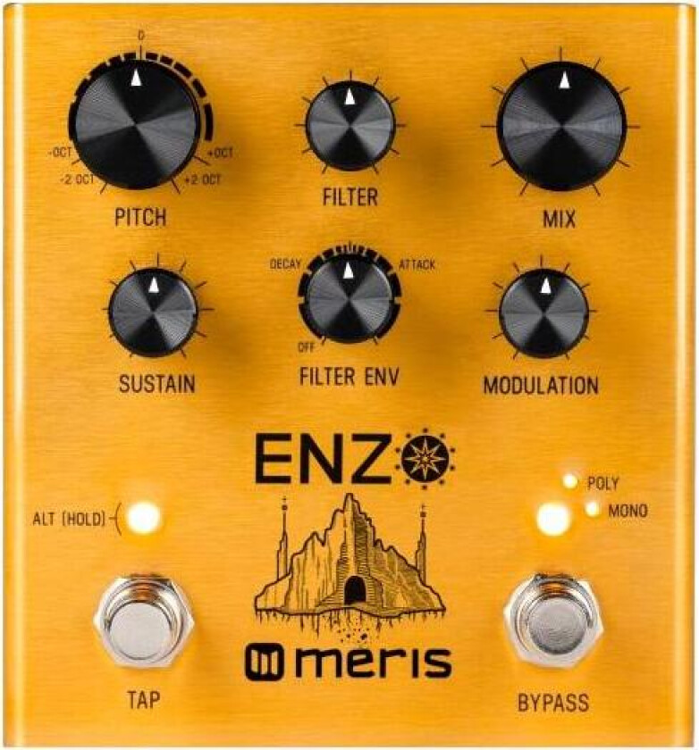 Bilde av Meris Enzo Multi-Voice Synthesizer Pedal