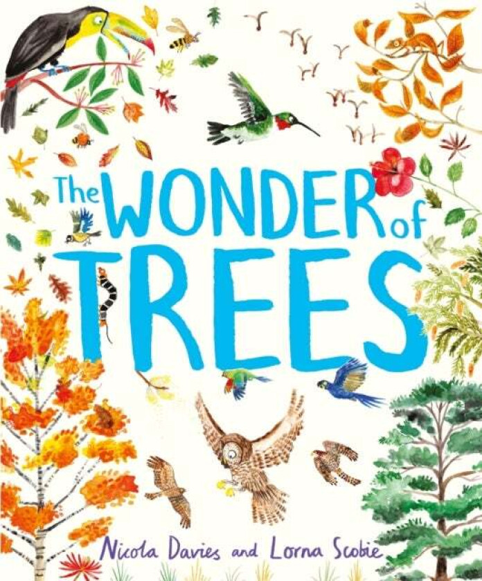 The Wonder Of Trees Av Nicola Davies