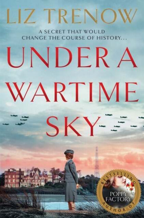 Under a Wartime Sky av Liz Trenow