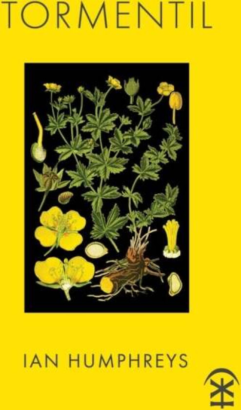 Tormentil av Ian Humphreys