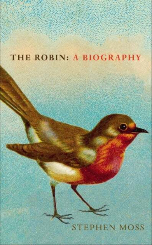 The Robin av Stephen Moss