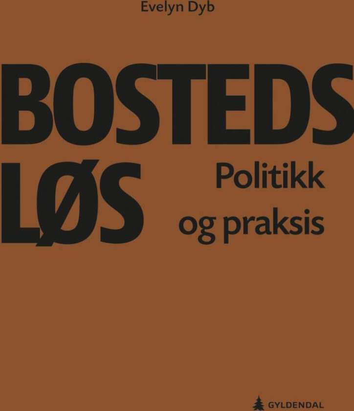 Bostedsløs av Evelyn Dyb