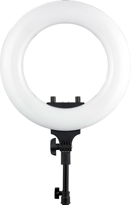 Halo 300 lampe
