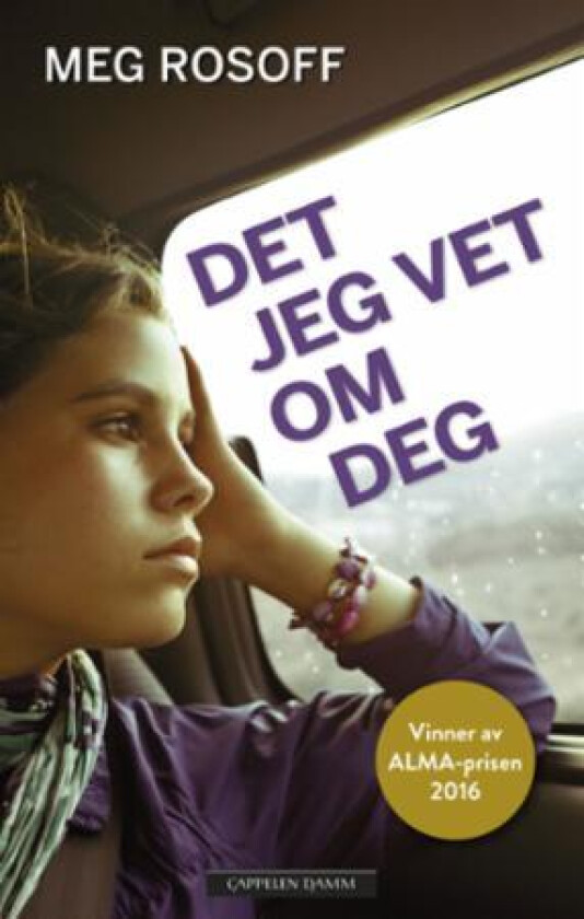 Det jeg vet om deg av Meg Rosoff