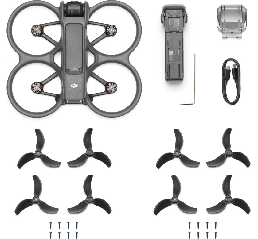 Avata 2 (Drone only)