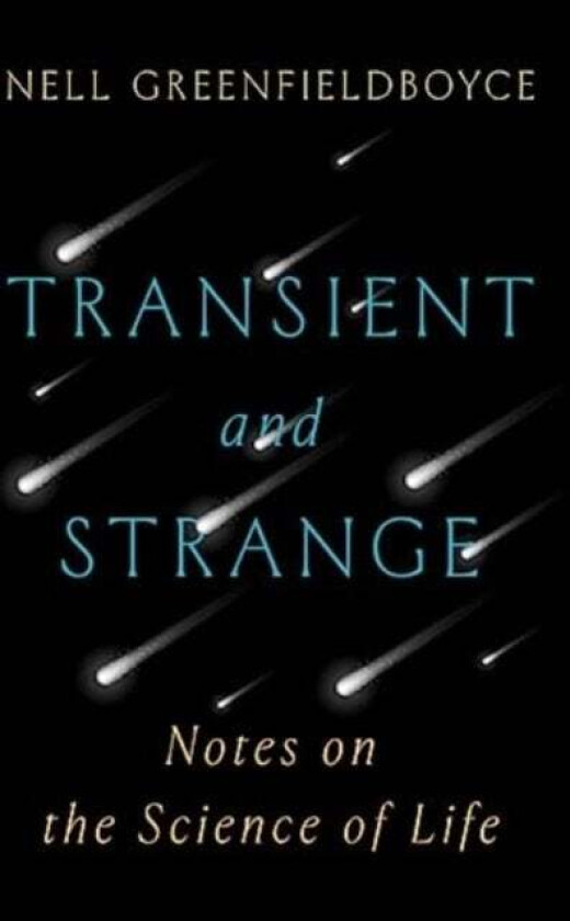 Transient And Strange Av Nell Greenfieldboyce