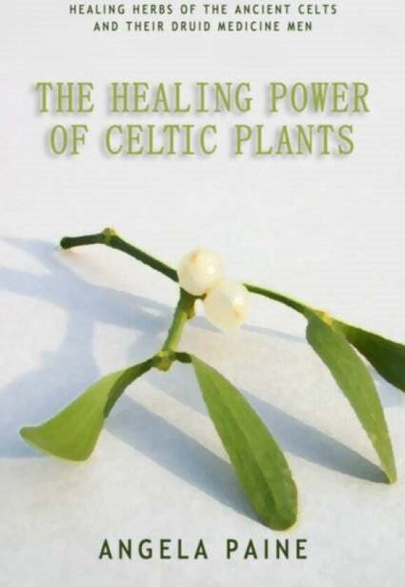 Healing Power of Celtic Plants av Angela Paine