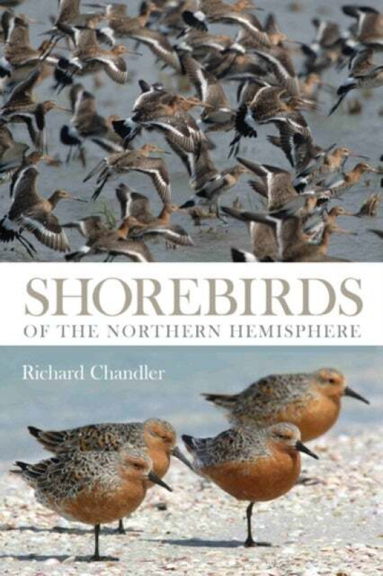 Shorebirds of the Northern Hemisphere av Richard Chandler