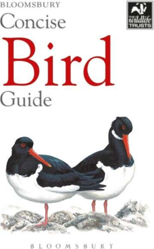 Concise Bird Guide av Bloomsbury