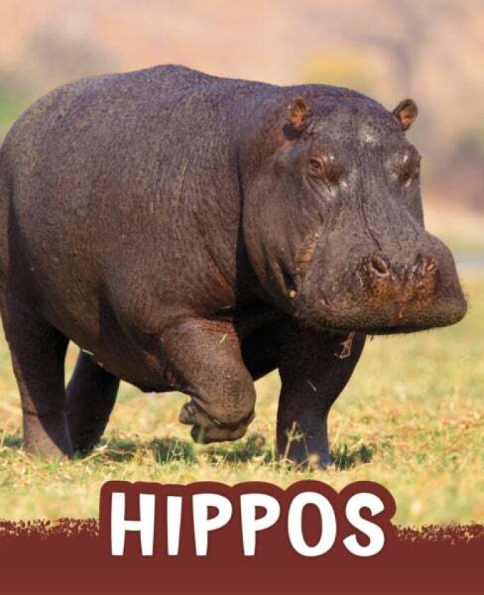 Hippos av Jaclyn Jaycox
