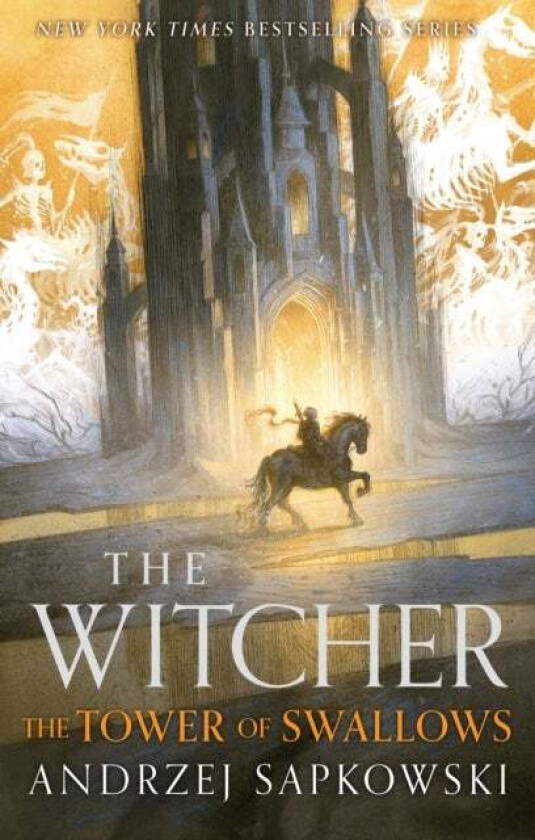 The Tower of the Swallow av Andrzej Sapkowski